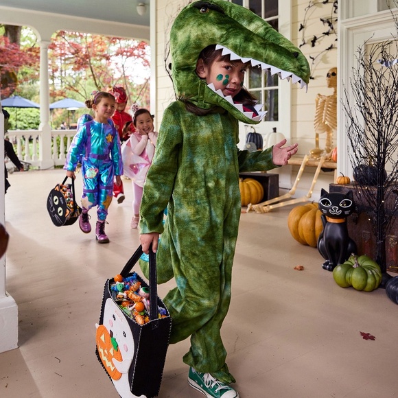 Light-Up T-Rex Halloween Costume - PBK - Picture 7 of 16